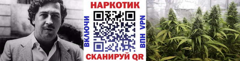Как найти закладки Судак Псилоцибиновые грибы APVP Гашиш Мефедрон Бошки Шишки