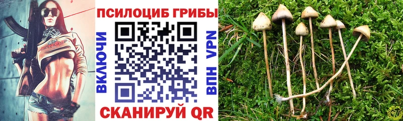 Псилоцибиновые грибы Magic Shrooms  Судак 